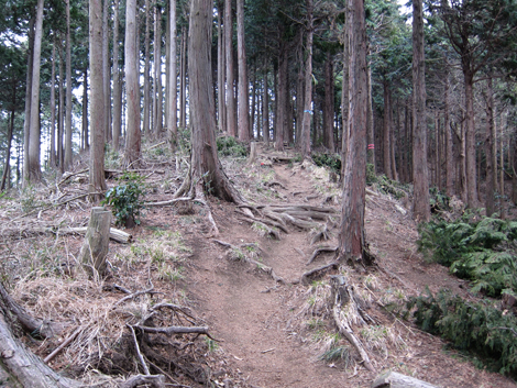 20190214hike (275)